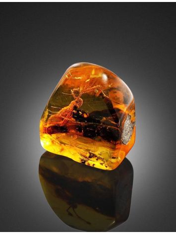 Amber Stone With Grasshopper Inclusion, image , picture 4