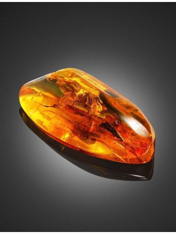 Natural Amber Stone With Insect Inclusion, image , picture 4