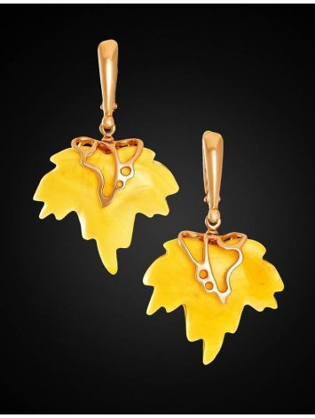 Drop Amber Earrings In Gold The Canada, image , picture 2