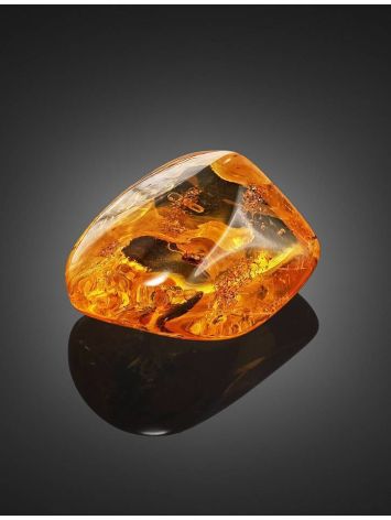 Natural Amber Souvenir Stone With Inclusion, image , picture 3