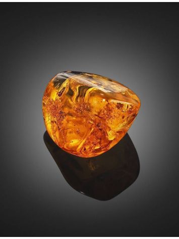 Natural Amber Souvenir Stone With Inclusion, image , picture 4