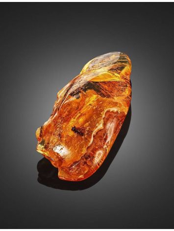 Natural Amber Stone With Fly Inclusion, image , picture 3