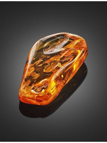 Amber Souvenir Stone With Fly Inclusion, image , picture 4