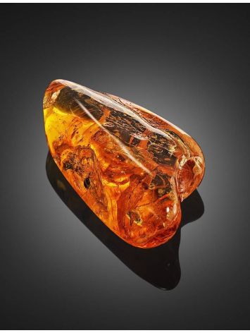 Amber Souvenir Stone With Insect Inclusions, image , picture 5