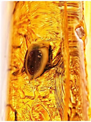 Amber Souvenir Stone With Insect Inclusions, image , picture 2