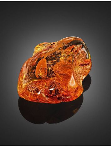 Unique Amber Stone With Insect Inclusions, image , picture 4
