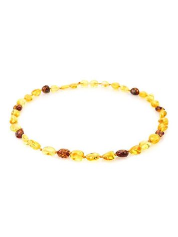 Multicolor Amber Teething Choker Necklace, image 