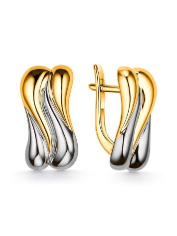 Two Toned Silver Earrings, image 