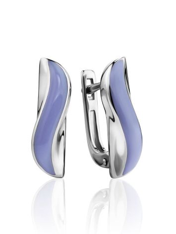 Sterling Silver Enamel Earrings, image 