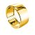 Minimalistic Gold Plated Silver Unisex Ring The ICONIC, Ring Size: Adjustable, image 