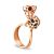Gold-Plated Ring With Cherry Amber The Geneva, Ring Size: 5 / 15.5, image 