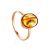 Glossy Golden Ring With Inclusions The Clio, Ring Size: 6 / 16.5, image 