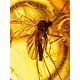 Chic Amber Gold Ring With Insect Inclusion The Clio, Ring Size: 6.5 / 17, image , picture 4