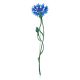 Wonderful Cornflower Enamel Brooch, image 