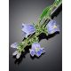 Exquisite Bluebell Flower Enamel Brooch, image , picture 3
