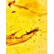 Unique Wooden Ball Pen With Amber And Inclusions, image , picture 8