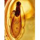 Amber Cocktail Ring With Insect Inclusions The Clio, Ring Size: Adjustable, image , picture 3