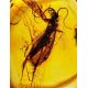 Amber Ring With Inclusion In Gold The Clio, Ring Size: 6.5 / 17, image , picture 2