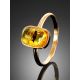 Laconic Amber Ring With Inclusions The Clio, Ring Size: 8 / 18, image , picture 2