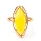 Luminous Amber Ring In Gold-Plated Silver The Ballade, Ring Size: 11.5 / 21, image , picture 3