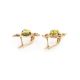Green Amber Earrings In Gold-Plated Silver The Daisy, image , picture 7