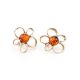 Adorable Amber Earrings In Gold-Plated Silver The Daisy, image , picture 3