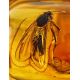Natural Amber Gold Ring With Insect Inclusion The Clio, Ring Size: 6.5 / 17, image , picture 3