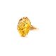 Designer Amber Golden Ring The Spider Web Collection, Ring Size: 9 / 19, image , picture 3