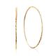 Trendy Golden Hoop Earrings, image 