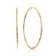 Fabulous Golden Hoop Earrings, image 