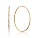 Textured Golden Hoop Earrings, image 
