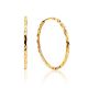 Chic Golden Hoop Earrings, image 