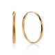Chic Golden Hoop Earrings, image 