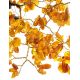 Cognac Amber Decorative Money Tree, image , picture 3