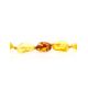 Multicolor Amber Teething Choker Necklace, image , picture 2