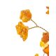 Cognac Amber Decorative Money Tree, image , picture 4