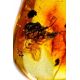 Chic Silver Amber With Inclusions Chain Earrings The Clio, image , picture 4
