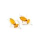 Stylish Cognac Amber Earrings In Sterling Silver The Pegasus, image , picture 2