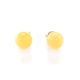 Round Honey Amber Stud Earrings In Gold, image , picture 2