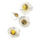 Silver Shell Earrings With Green Amber The Venus, image , picture 6
