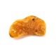 High Polished Souvenir Amber Stone, image , picture 5