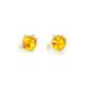 Cognac Amber Earrings In sterling Silver The Rondo, image , picture 4