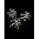 Amber Earrings In Sterling Silver The Dahlia, image , picture 5