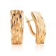 Textured Golden Latch Back Earrings, image 
