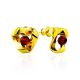 Twisted Design Gilded Silver Amber Stud Earrings The Palazzo, image 