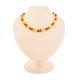 Two-Toned Amber Beaded Necklace, image 