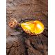 Bold Lemon Amber Pendant In Gold-Plated Silver The Cascade, image , picture 4