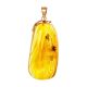 Exclusive Gold Amber Pendant With Inclusions The Clio, image 