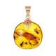 Luminous Gold Amber Pendant With Inclusions The Clio, image 