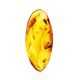 Cognac Amber Souvenir Stone With Inclusions, image 
